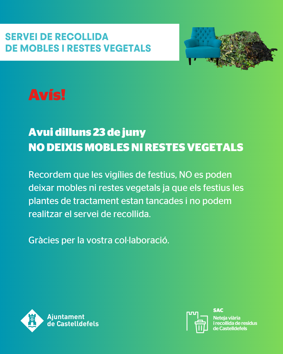 festius deix i minideixalleria 5