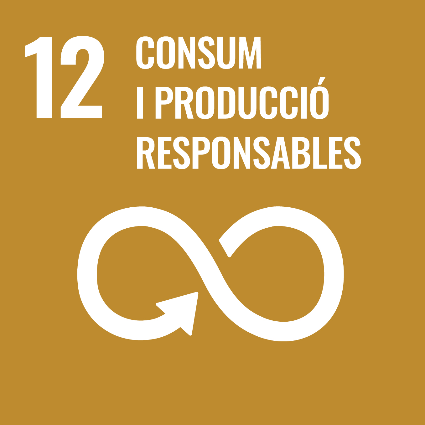 12 consum i prodiccio responsables