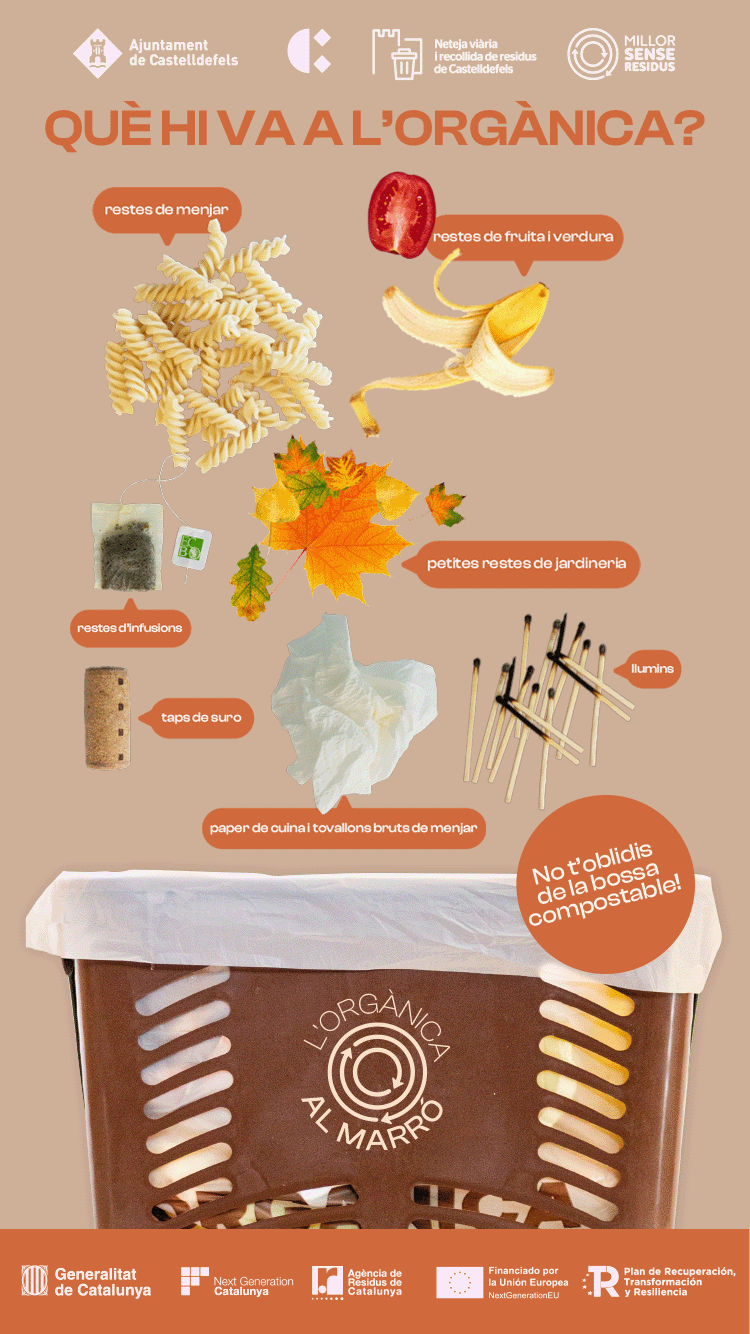 QUÈ HI VA A LORGÀNICA STORIES