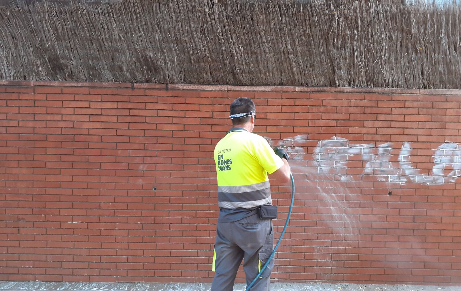 foto neteja pintades 2